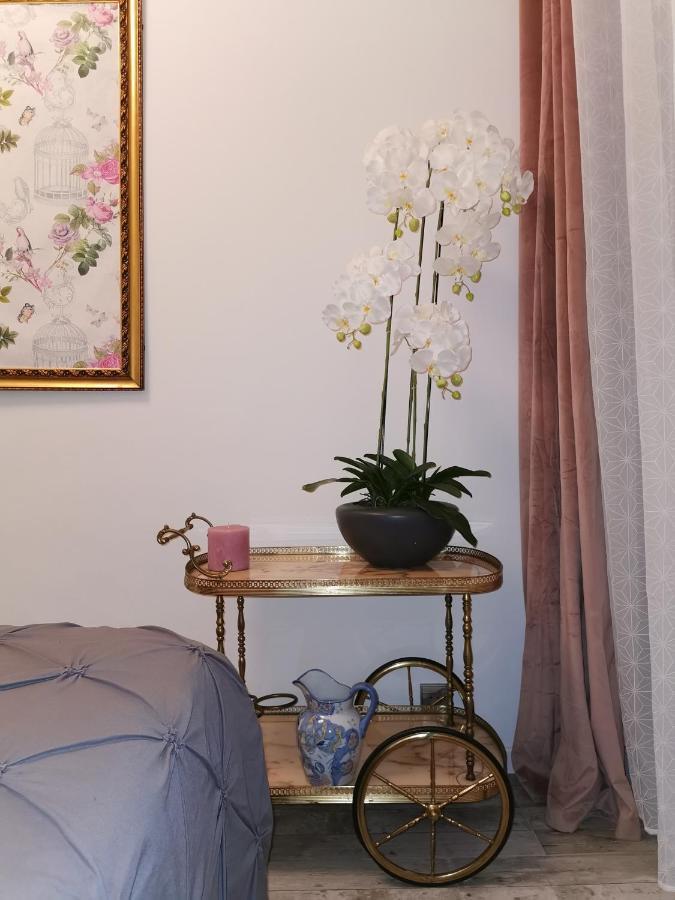 L'Ensoleillee Daire Nice Dış mekan fotoğraf